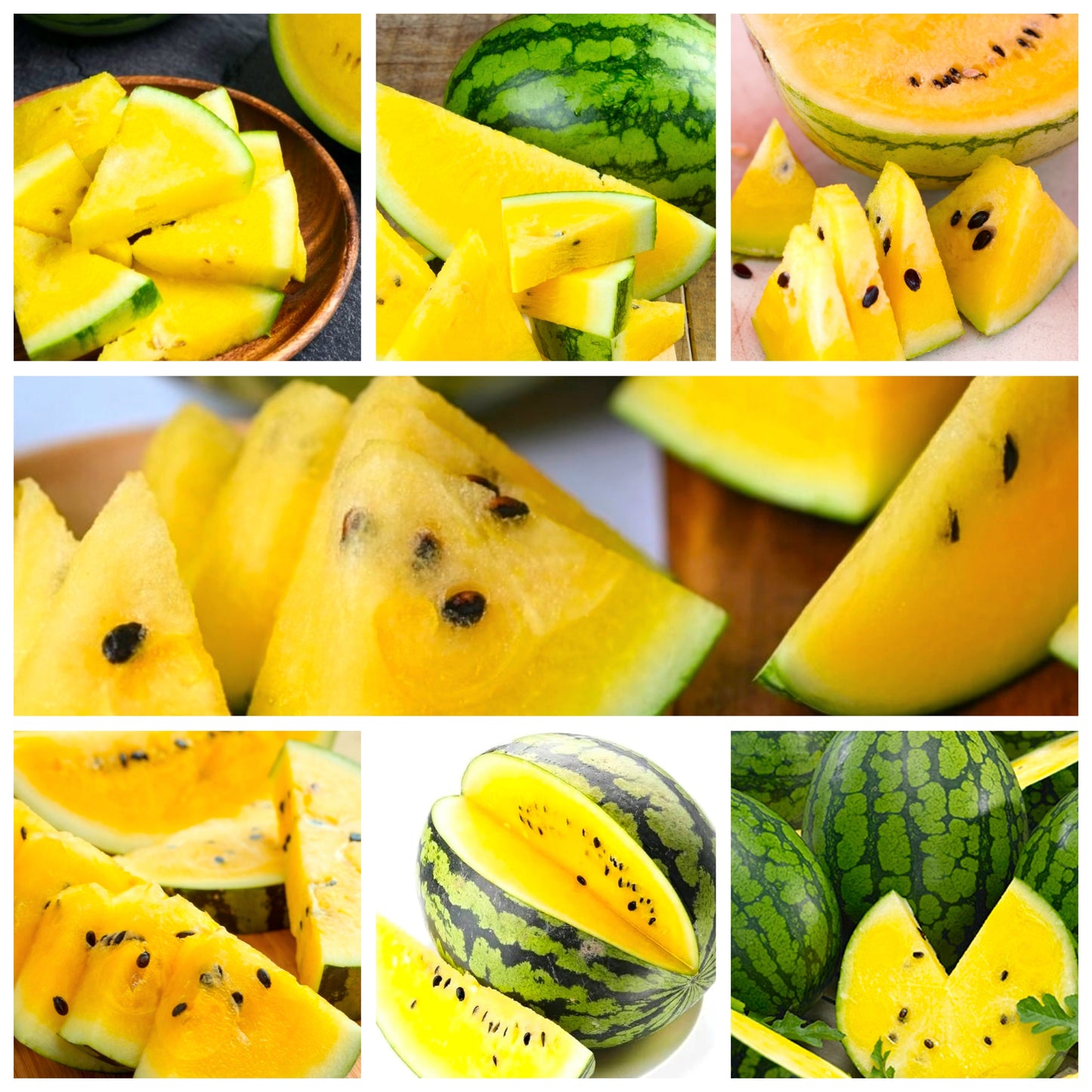 Yellow Watermelon